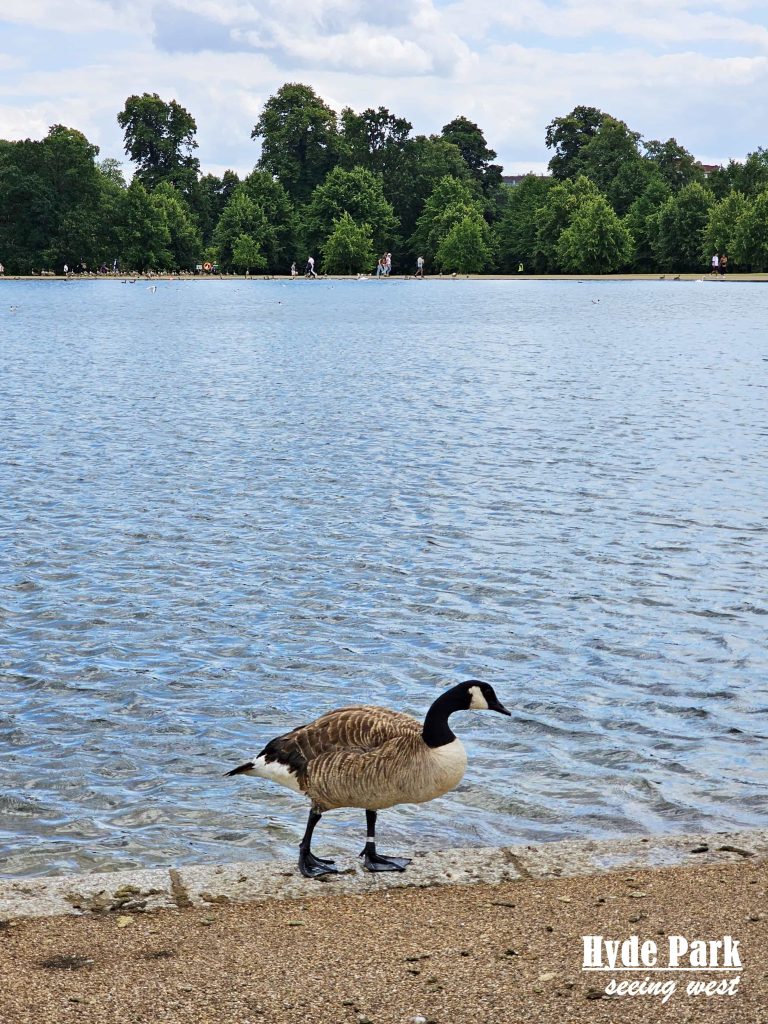 round lake in front of kensington palace