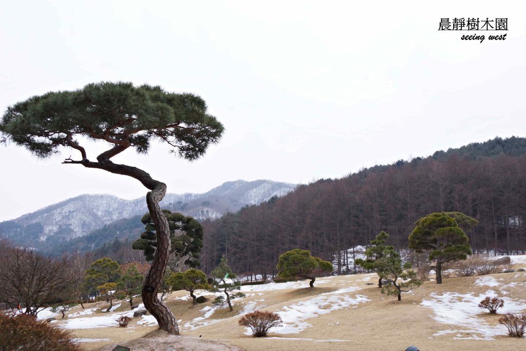 view at morning clam garden