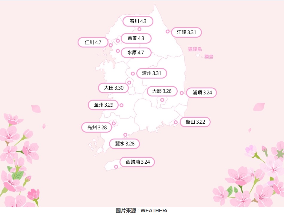 korea cherry bloosm map 2024