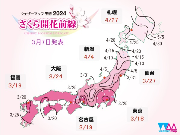 weathermap cherry blosm forecast 2024 weathermap cherry blosm forecast 2024