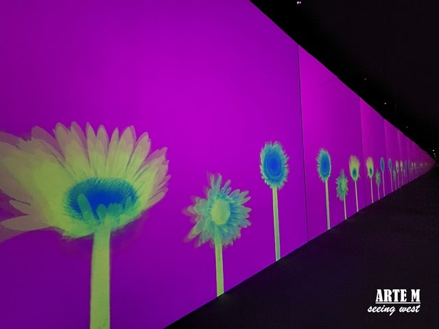 20230227_111327-min